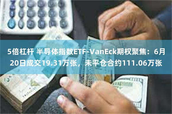 5倍杠杆 半导体指数ETF-VanEck期权聚焦：6月20日成交19.31万张，未平仓合约111.06万张