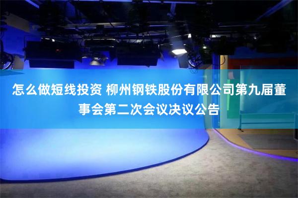 怎么做短线投资 柳州钢铁股份有限公司第九届董事会第二次会议决议公告