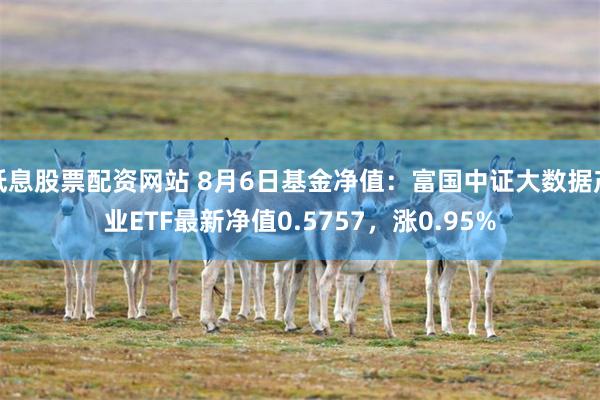 低息股票配资网站 8月6日基金净值：富国中证大数据产业ETF最新净值0.5757，涨0.95%