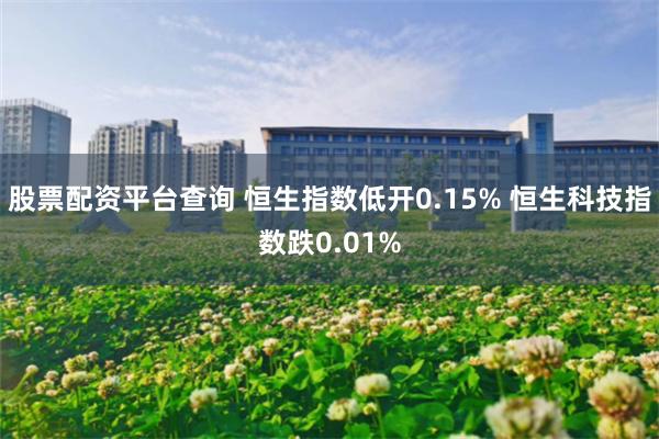 股票配资平台查询 恒生指数低开0.15% 恒生科技指数跌0.01%