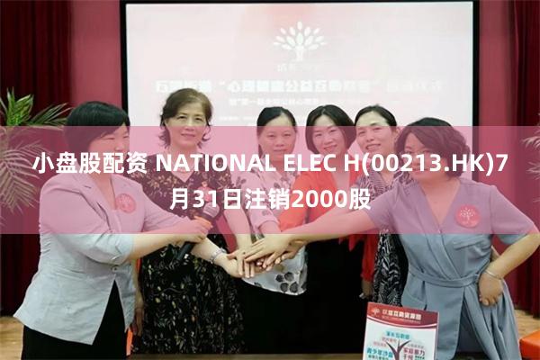 小盘股配资 NATIONAL ELEC H(00213.HK)7月31日注销2000股