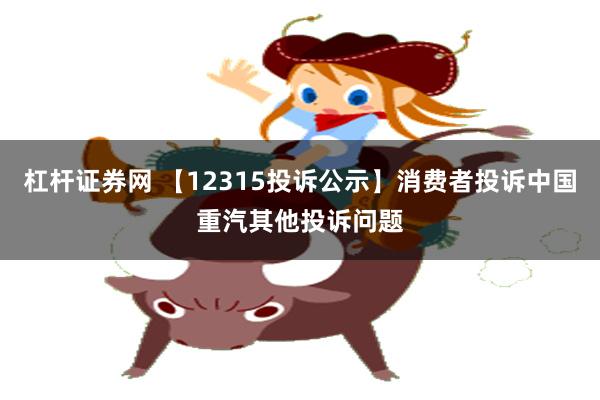 杠杆证券网 【12315投诉公示】消费者投诉中国重汽其他投诉问题