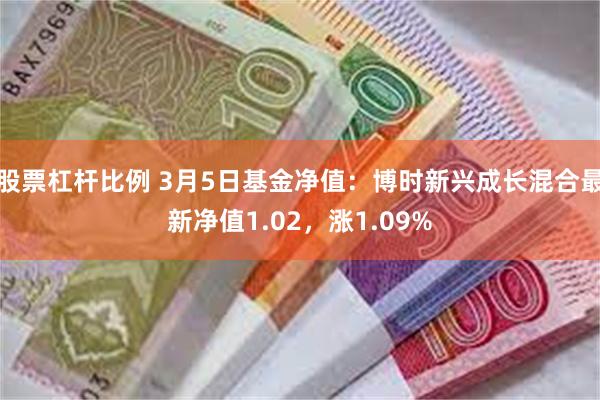 股票杠杆比例 3月5日基金净值：博时新兴成长混合最新净值1.02，涨1.09%