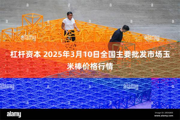 杠杆资本 2025年3月10日全国主要批发市场玉米棒价格行情